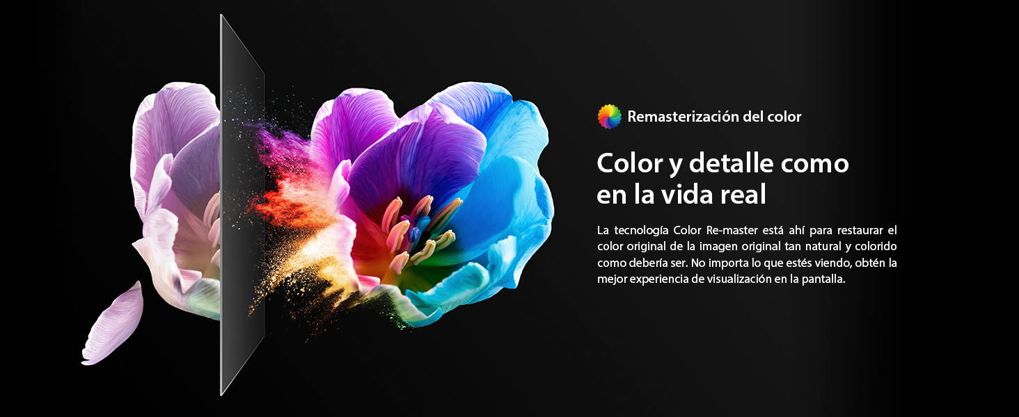 Remasterizaci&oacute;n del color