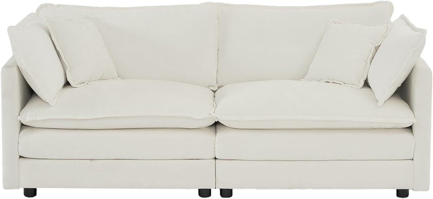 Neylory - Sofá de dos plazas con 2 almohadas para sala de estar, recámara, departamento, 2 plazas de felpilla para asiento profundo