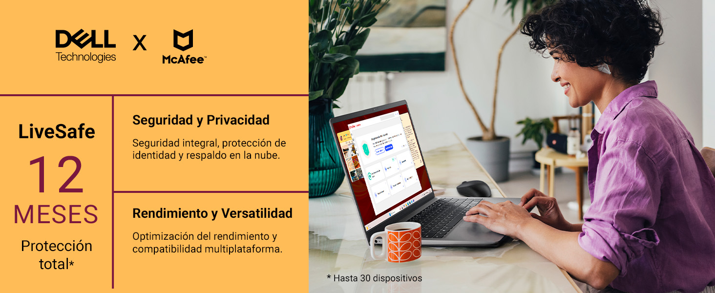 Dell-McAfee