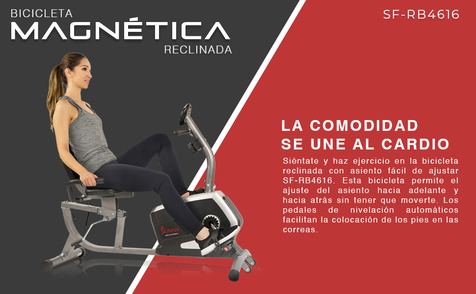 Sunny Health & Fitness Bicicleta reclinada clásica - SF-RB4616