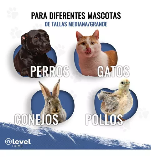 Casa De Plástico Exterior Térmica Raza Grande 97cm Color Azul