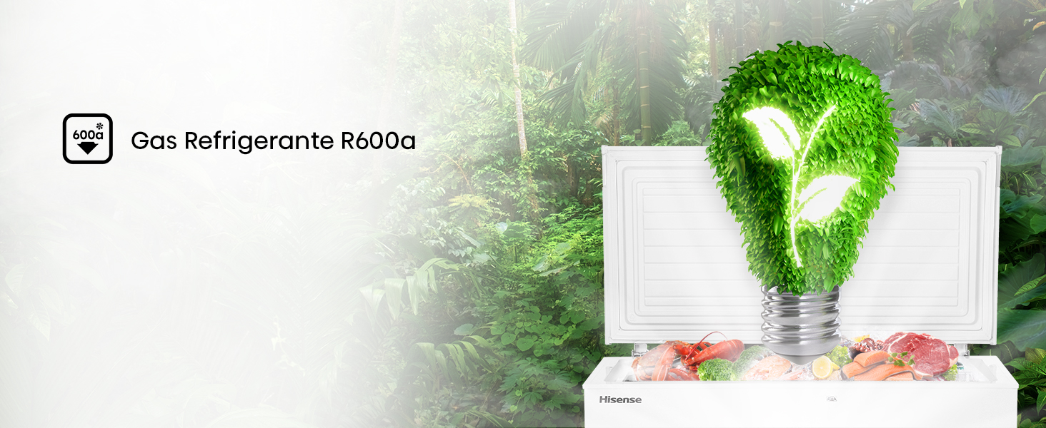 Gas refrigerante R600a