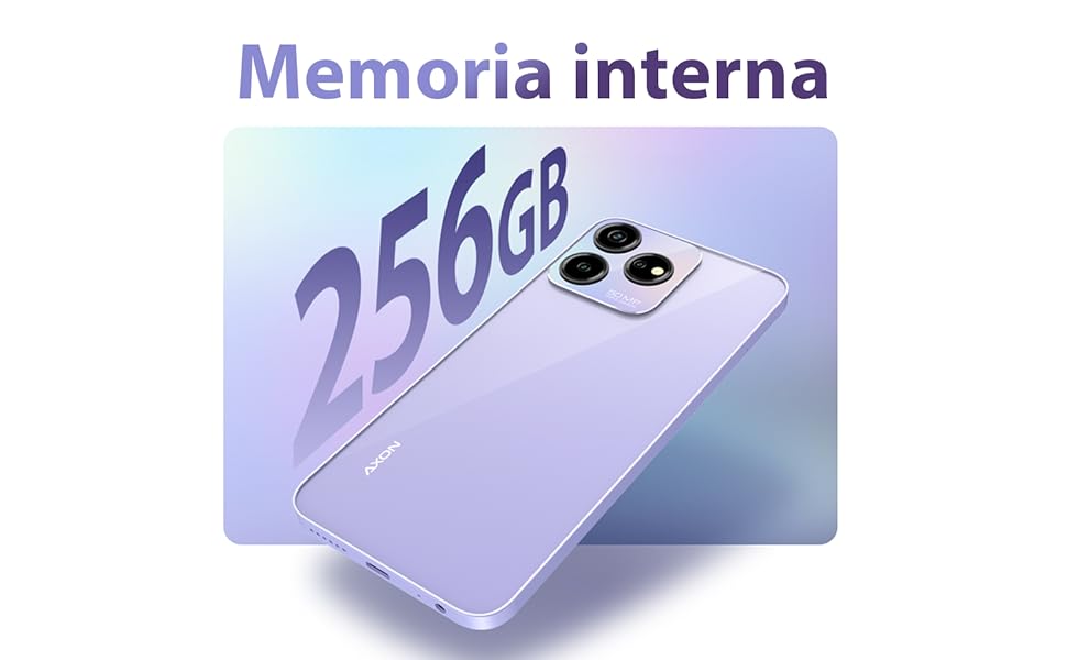 Memoria Interna 