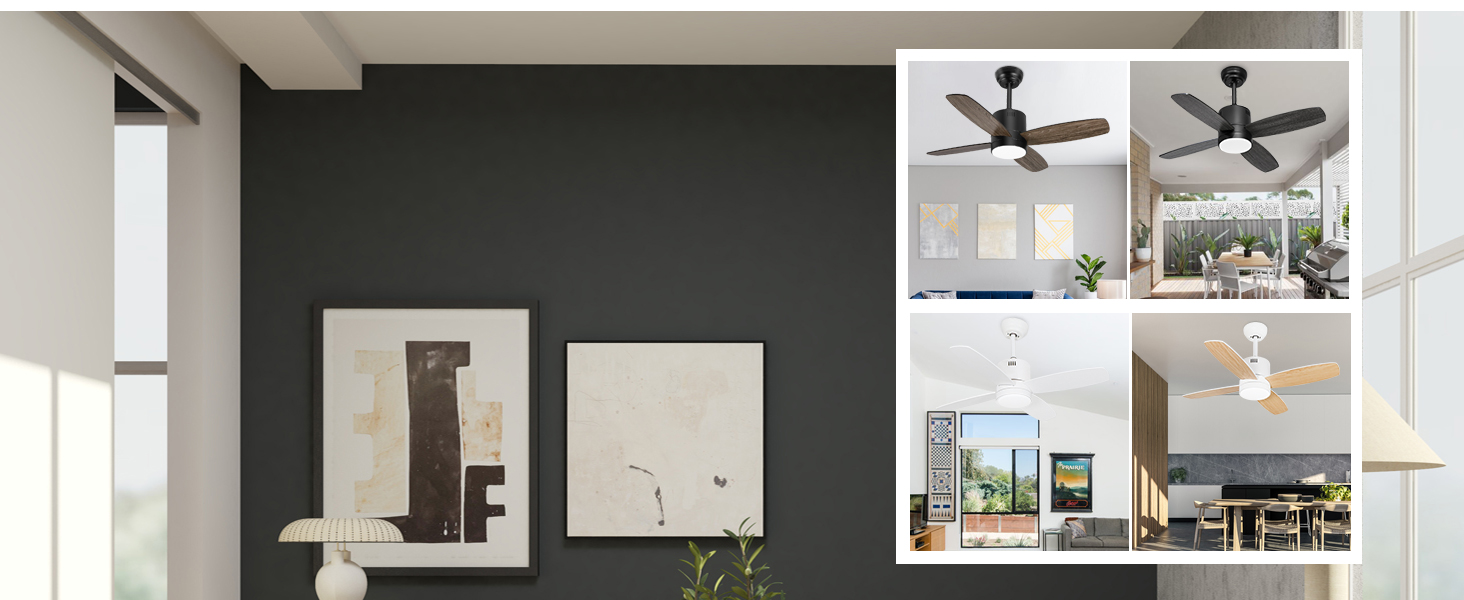 ceiling fan