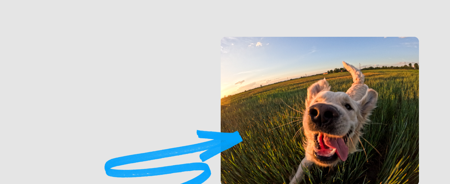 GoPro HERO12 Black