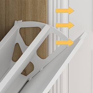 almacenamiento de zapatos de entrada