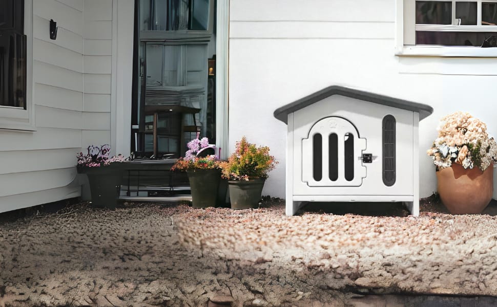 casa para perro small breed