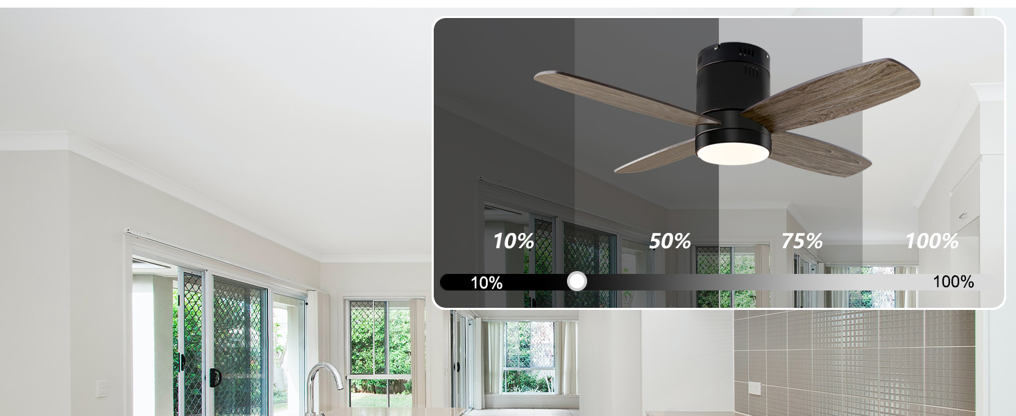 ceiling fan
