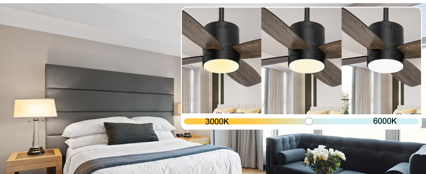 ceiling fan