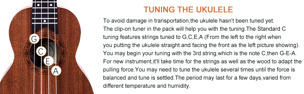 ukeleles para adultos