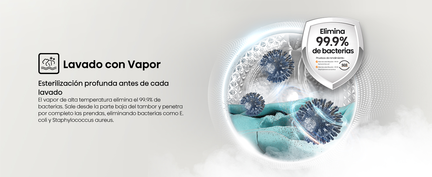 Lavado con Vapor