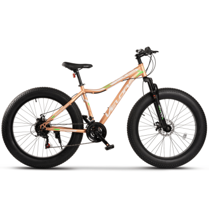 Bicicleta de montaña, Fat Bike, neumático grueso de 26 pulgadas 4.0 MTB, transmisión Shimano de 21 velocidades, frenos de disco mecánicos, fácil de montar, ideal para uso diario en montañas, escuela o trabajo, etc