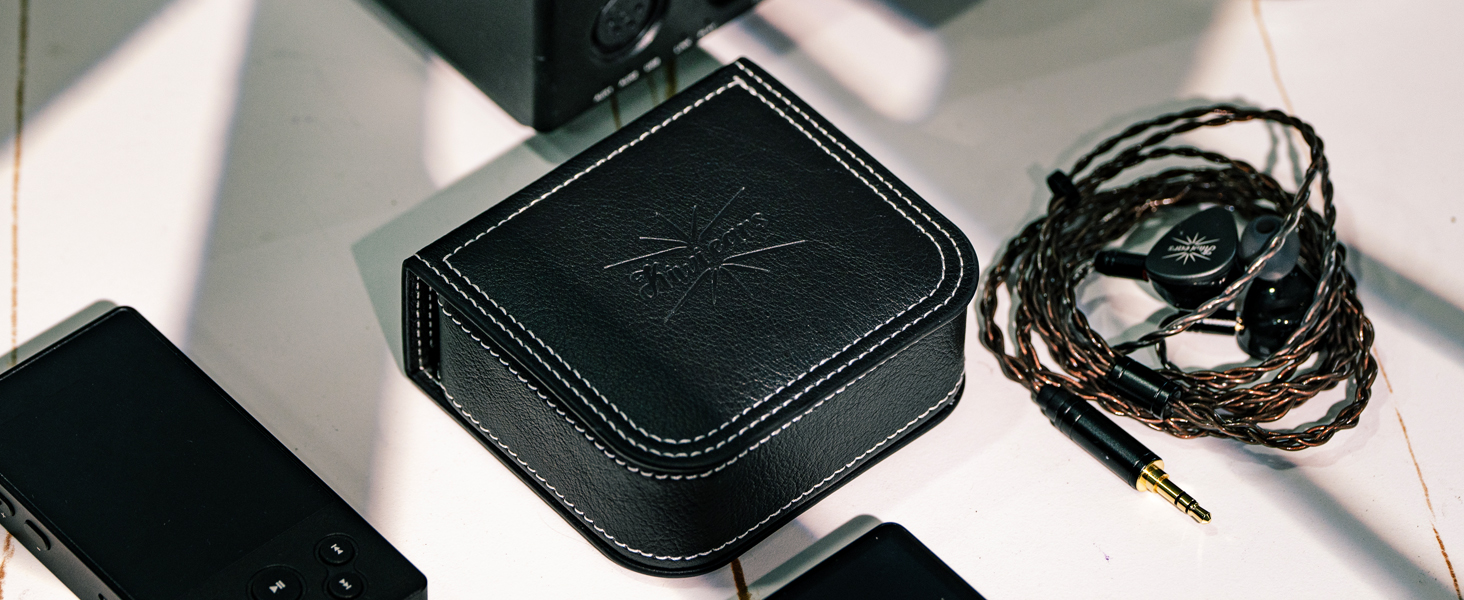 Kiwi Ears Earbud Case