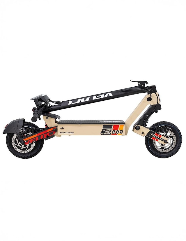Scooter eléctrico E-800 2025
