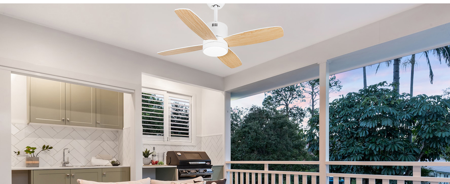 ceiling fan