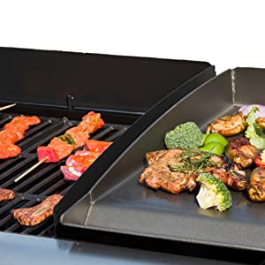 Dise&ntilde;o combinado de branquia y plancha