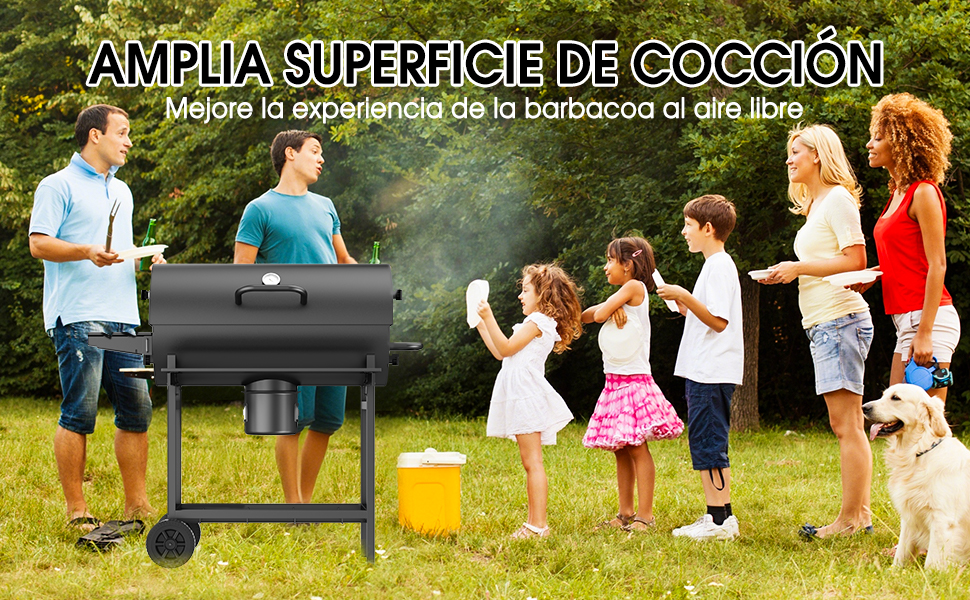 asador de carbon