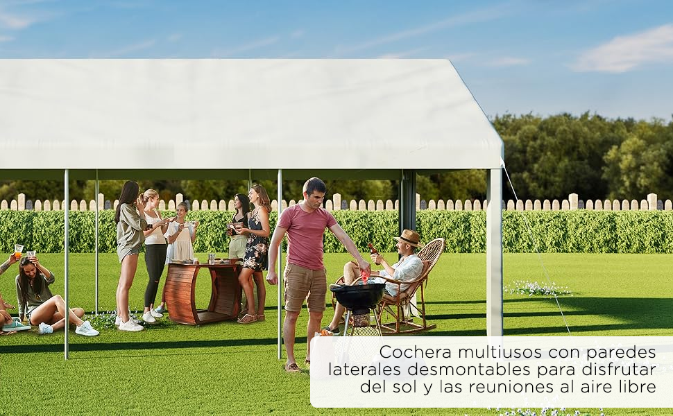 toldo auto 3