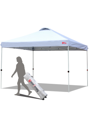 Toldo desplegable de 10 x 10 