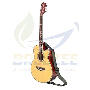 guitarra electro acustica