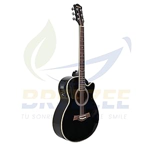 guitarra electroacustica acustica