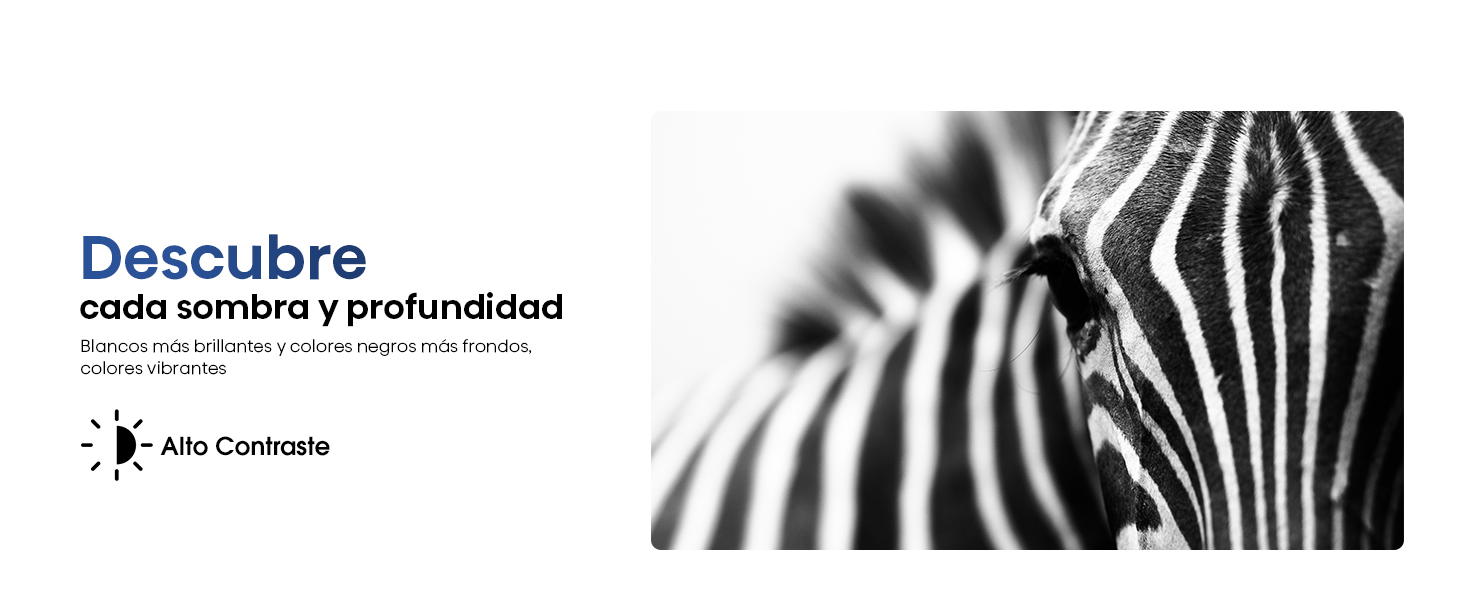 Alto Contraste