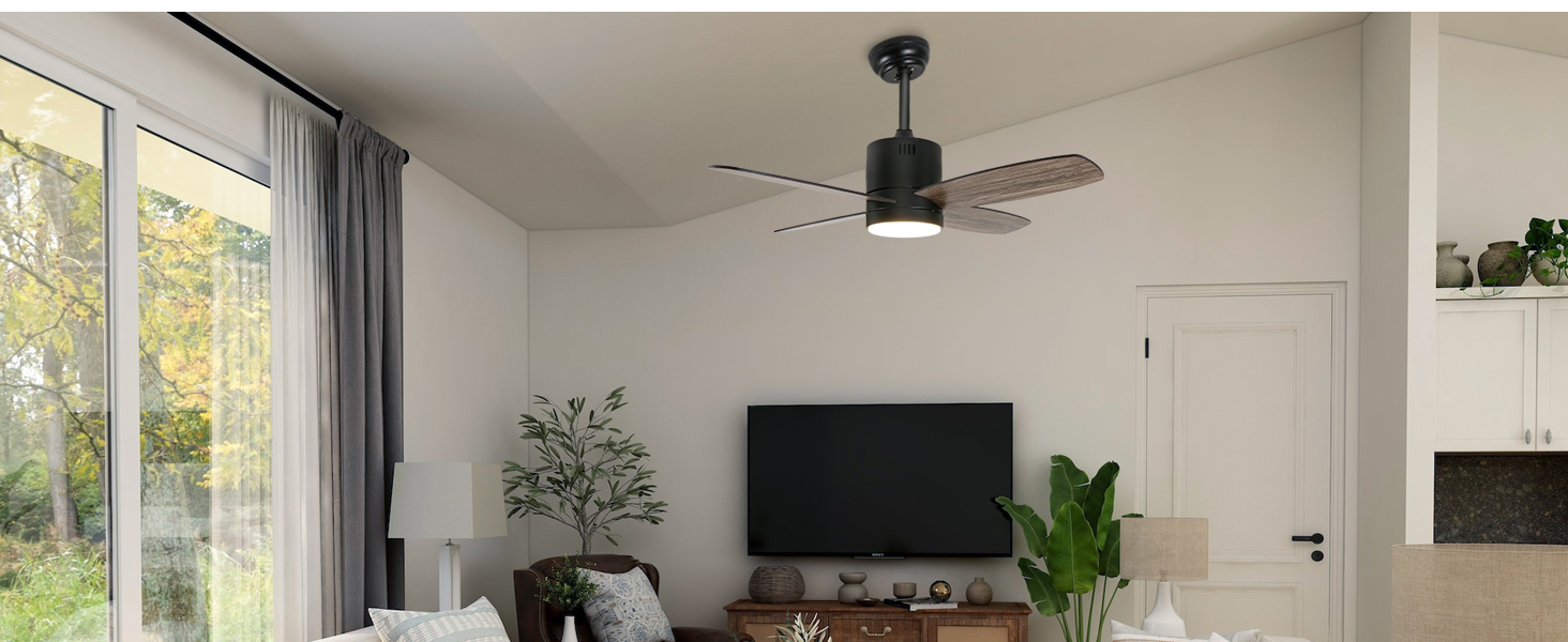 Ceiling fan