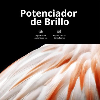 LG Pantalla OLED EVO 55 Pulgadas 4K Smart TV 2024 ThinQ AI OLED55C4PSA