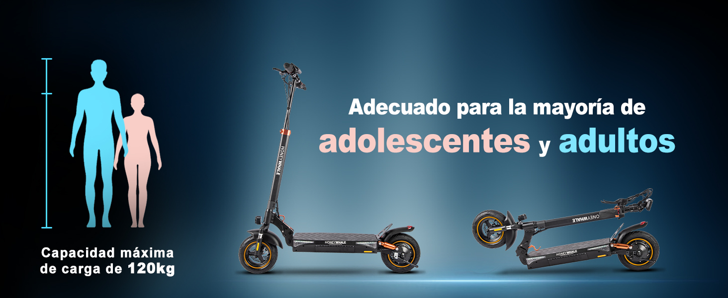 Capacidad máxima de carga de 120 kg