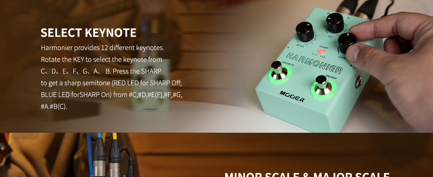 PEDAL VOCAL DE ARMON&Iacute;A