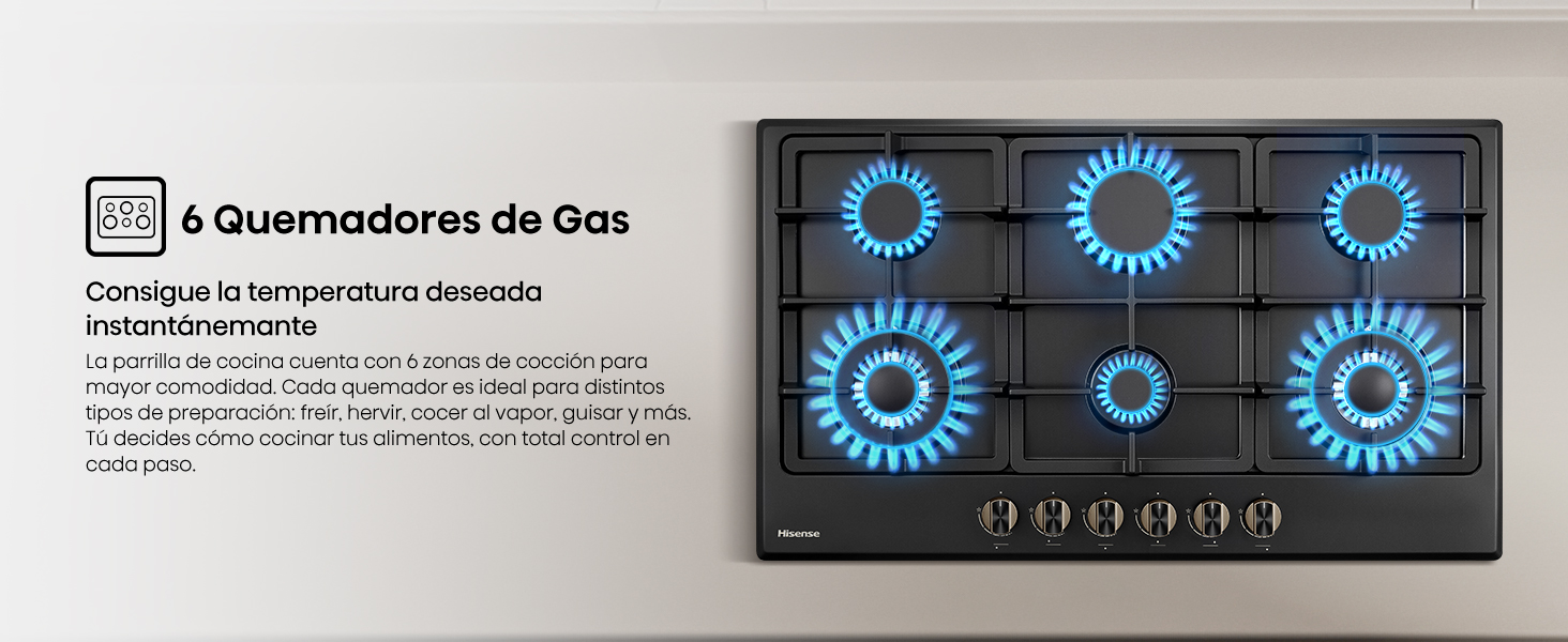 6 Quemadores de Gas