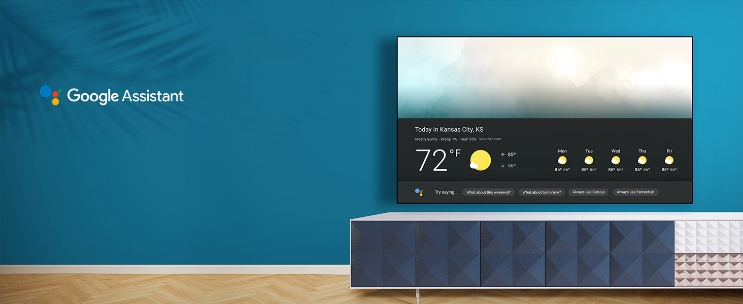 google assistant