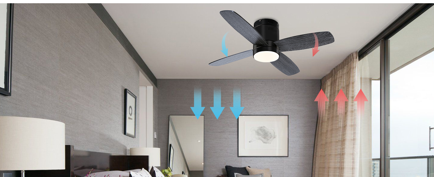 ceiling fan
