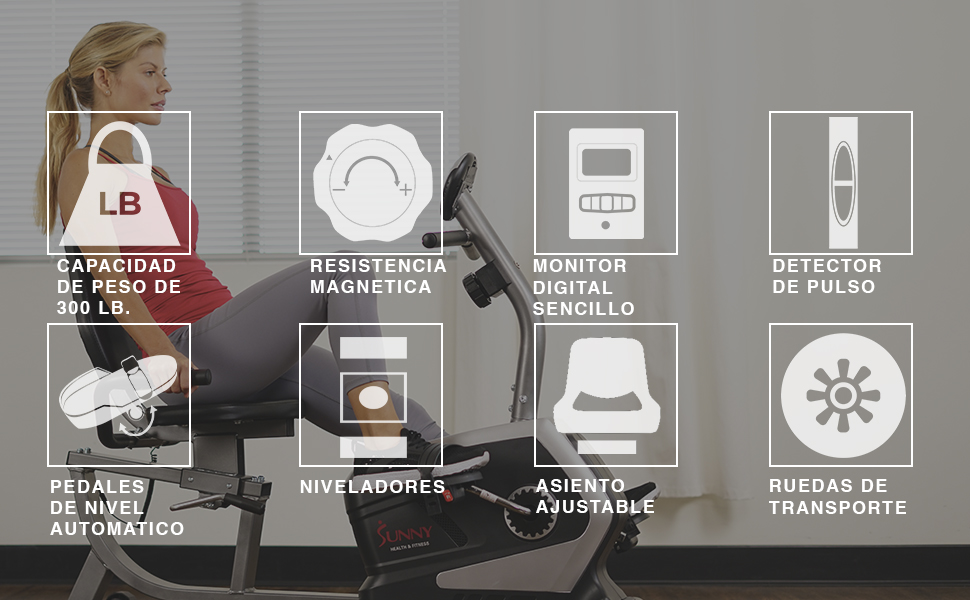 Sunny Health & Fitness Bicicleta reclinada clásica - SF-RB4616