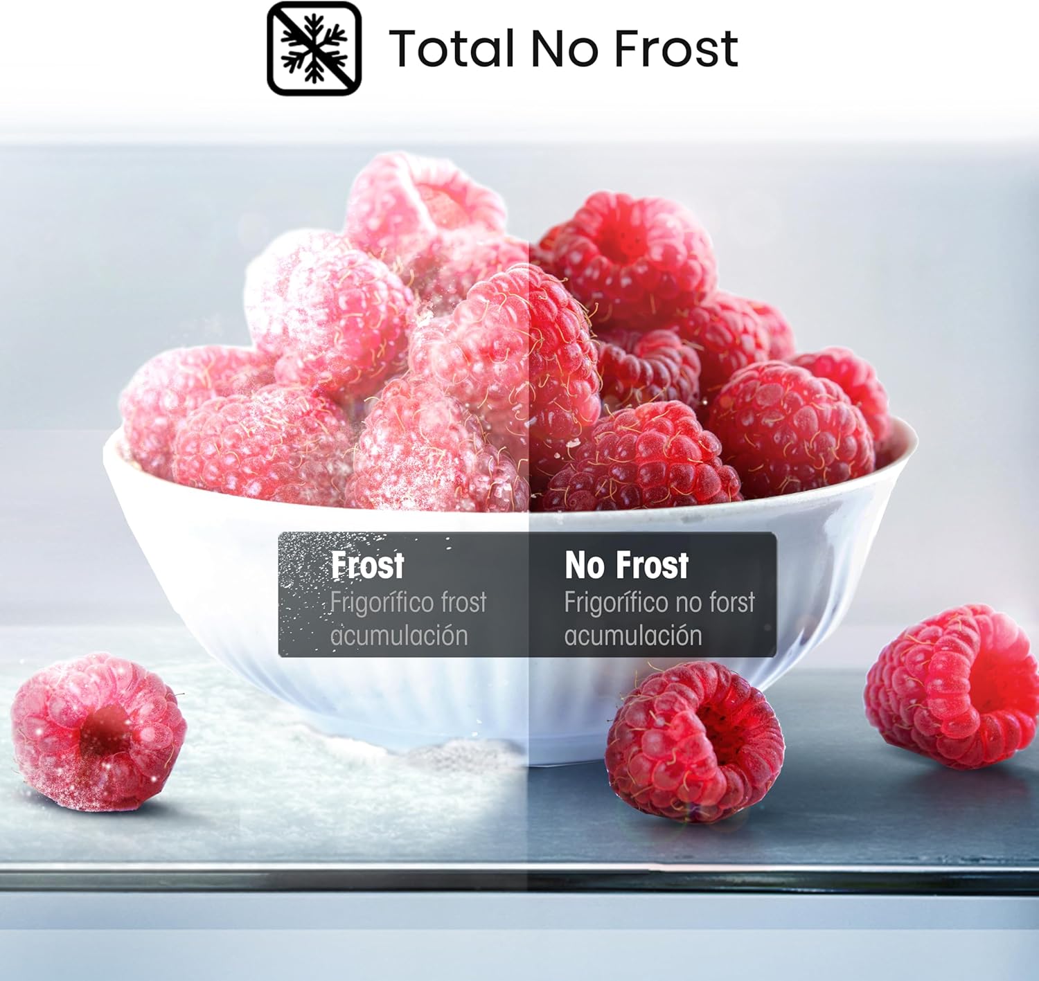 Hisense RS19N6WCX-Refrigerador Side by Side, 19 pies cúbicos con Dispensador de Agua, Control digital táctil, Total No Frost, Eco Inverter, 91x64x179cm(AnchoxLargoxAlto), Gris