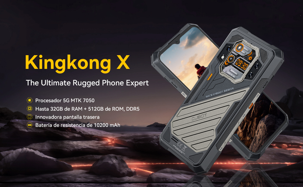 Kingkong X