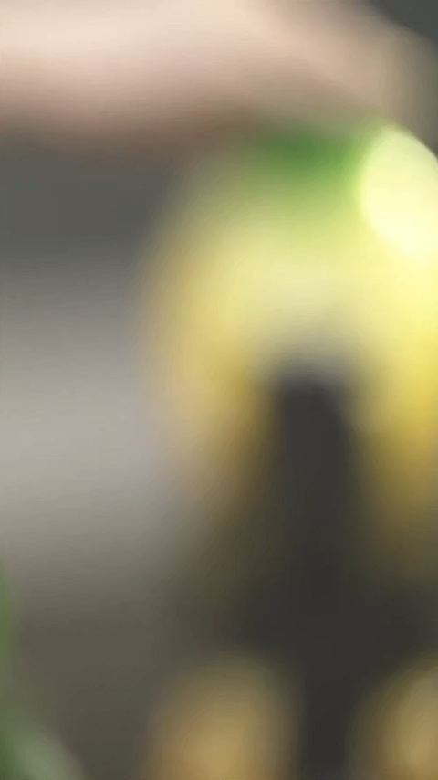 Pineapple Gravity Infuser