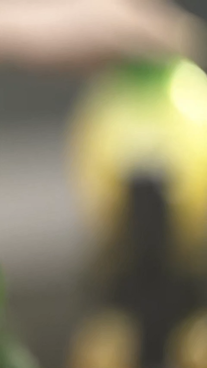 Pineapple Gravity Infuser