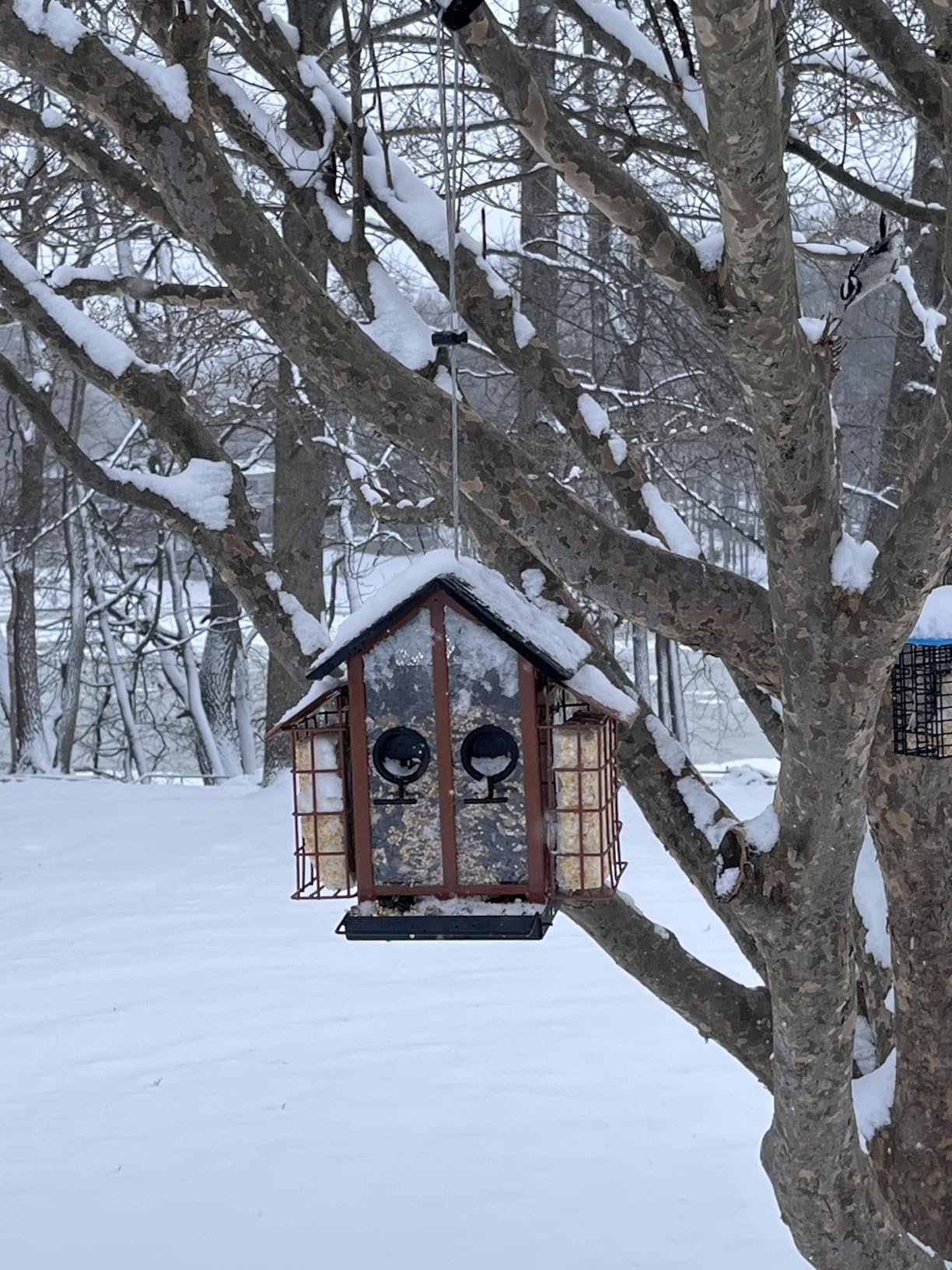 Very nice bird feeder