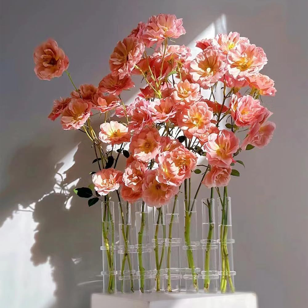 Hinged Flower Vase 8 Crystal Glass Test Tube Desktop Propagation Station for Plant Glass Tubes Hydroponic Vase for Indoor Office Home Garden Decor (8pcs)