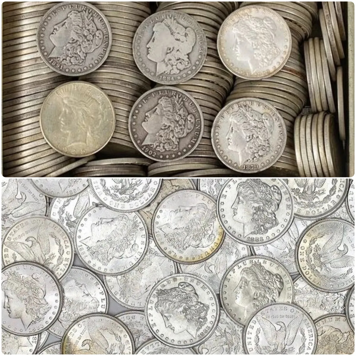 🔥 FLASH SALE! Complete 28-Piece Morgan Silver Dollar Set (1878-1921) ⚡ Limited Stock, Selling Out Fast!