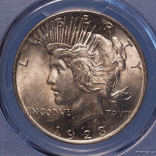 😱Hurry! Limited Time Only!💰💴The Complete Collection of Peace Silver Dollar【1921~1935】12Pcs
