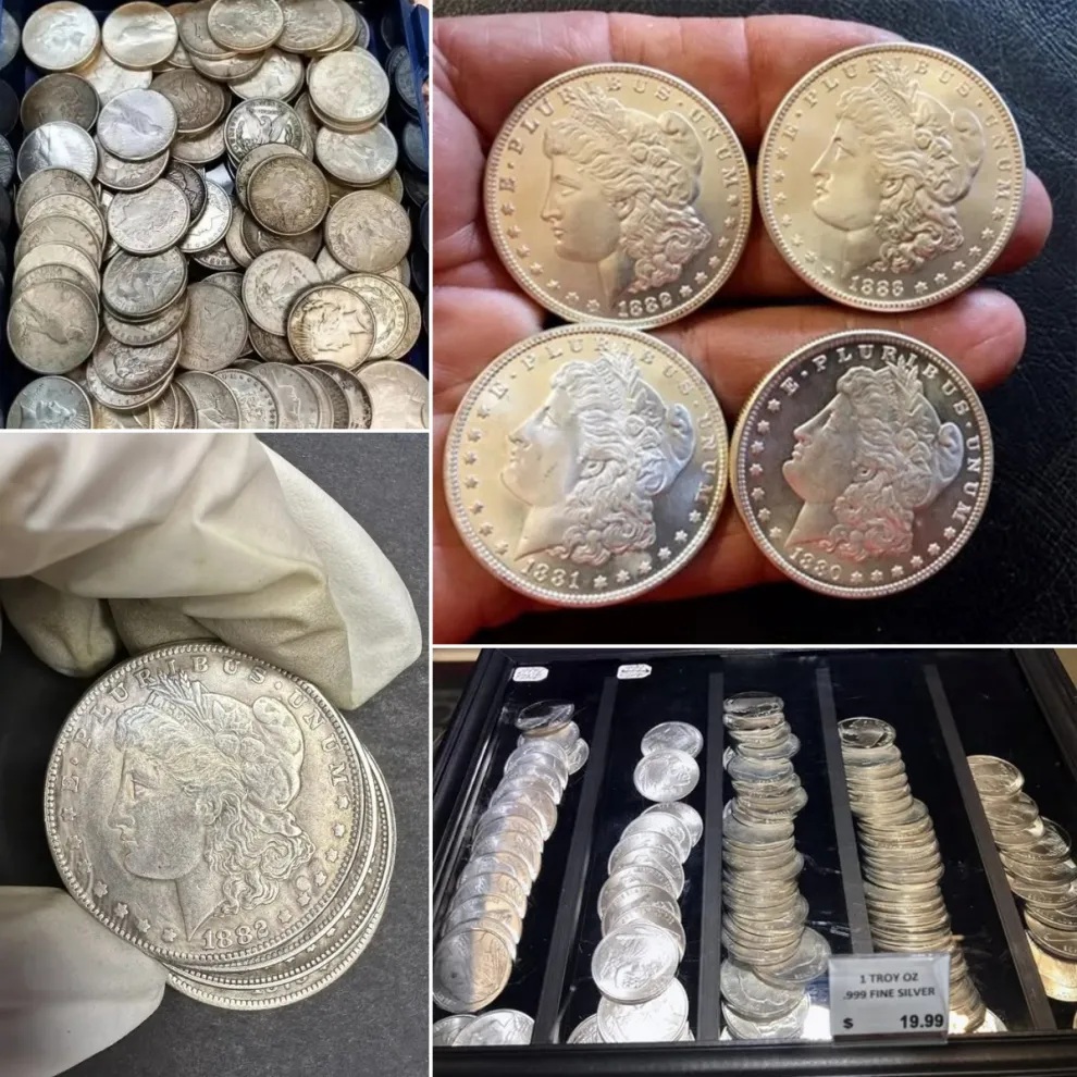 🔥LAST DAY SALE 70% OFF 🔥 28 PCS 1878-1902 Morgan Silver Dollar 【Complete Set】