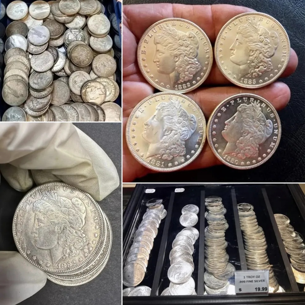 🔥LAST DAY SALE 70% OFF 🔥 28 PCS 1878-1902 Morgan Silver Dollar 【Complete Set】