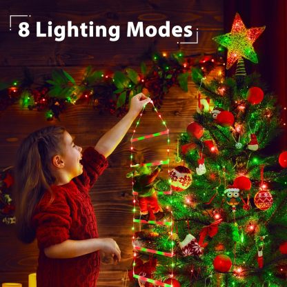🎅Christmas Sale🎄 LED Christmas Lights with Santa Claus