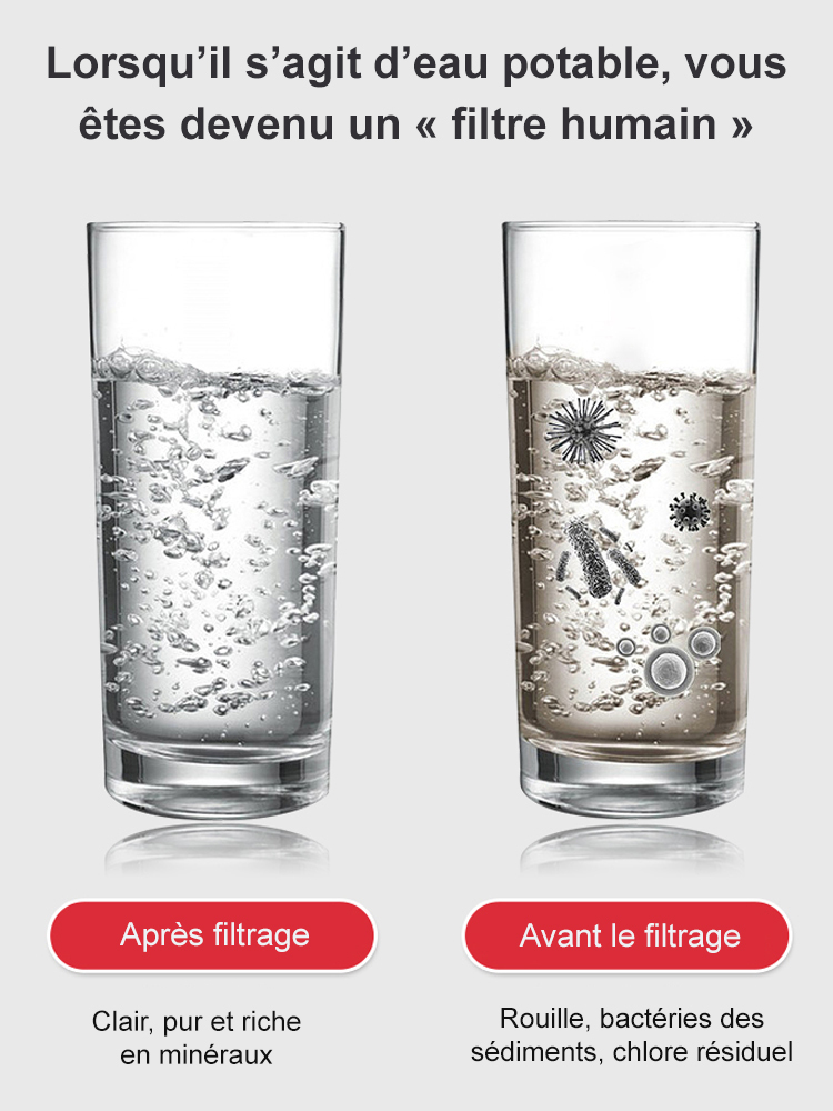 【Sans installation avec filtre offert】Robinet en acier inoxydable avec douchette pour eau potable