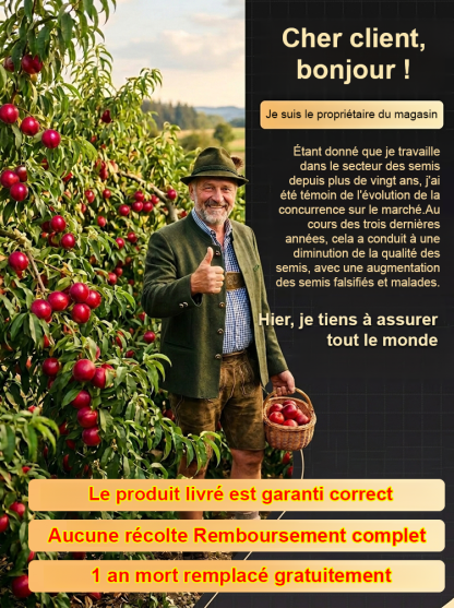 【Garantie de survie à 100 %】Jeunes plants de pêches à chair juteuse sélectionnés par Gaisenheim | Jeunes plants de 2 ans à la croissance vigoureuse | Produisent des fruits dès la première année | Idéaux pour les balcons et les jardins | Résistants au froi