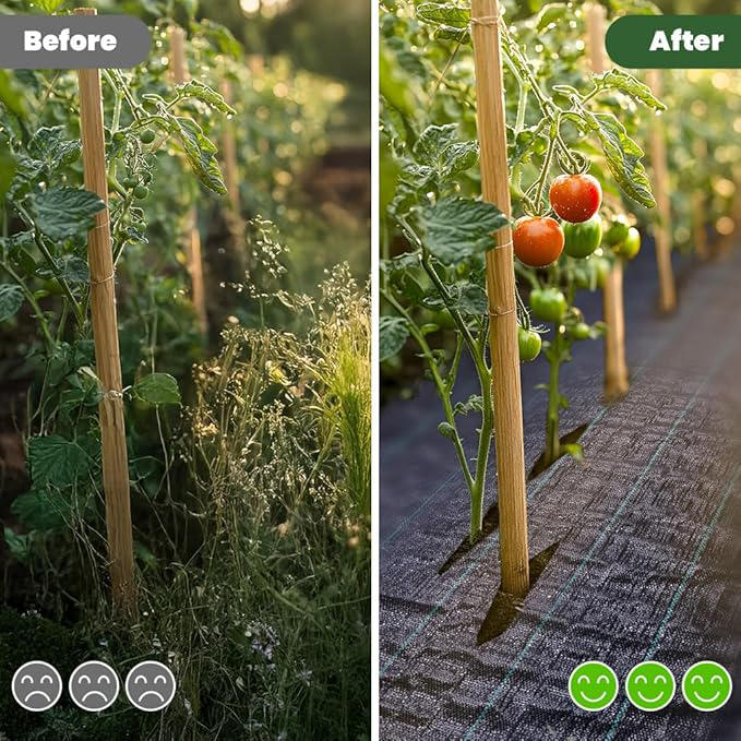 Toile de Paillage avec 30pcs de Piquets Contre Les Mauvais Herbes 10Mx2M en Fibres de Polypropylène Tissées Anti-UV 100g/m2 Résistant Aux Déchirures Piquets de Fixation Fournis