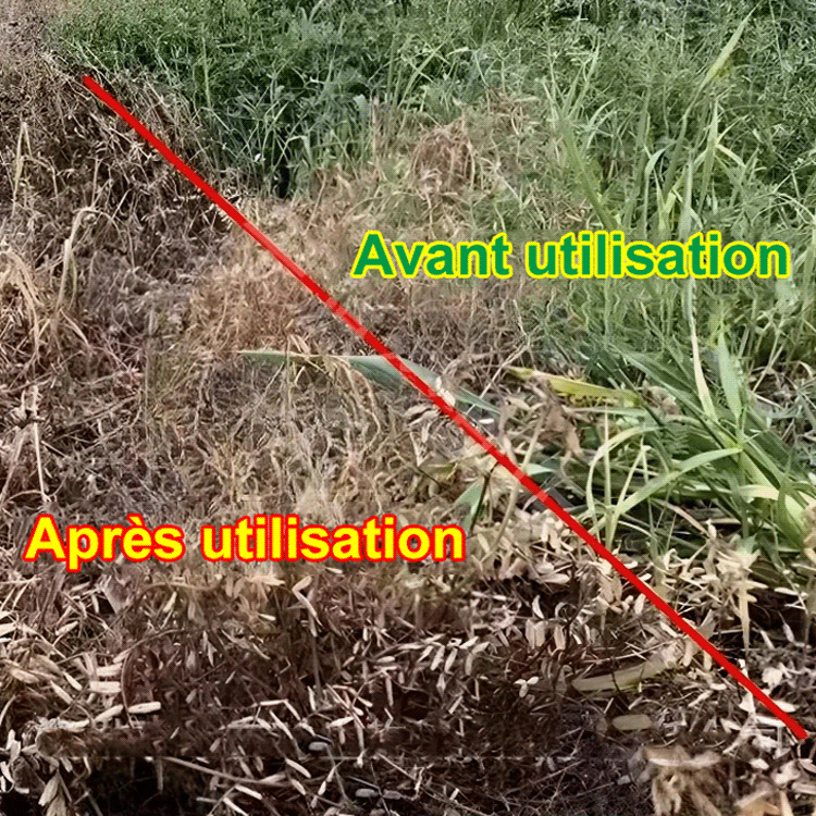 【Herbicide doublement certifié par le Ministère français de l'Agriculture et l'Ange Bleu】