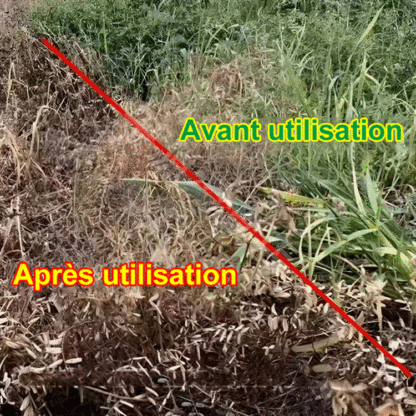 【Herbicide doublement certifié par le Ministère français de l'Agriculture et l'Ange Bleu】